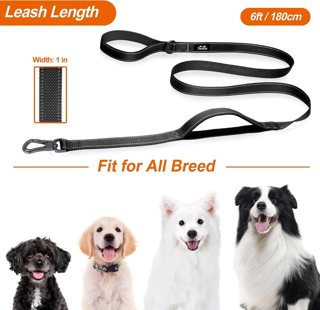 Sturdy metal D ring on the TwoEar leash holding an attached dog waste bag dispenser.