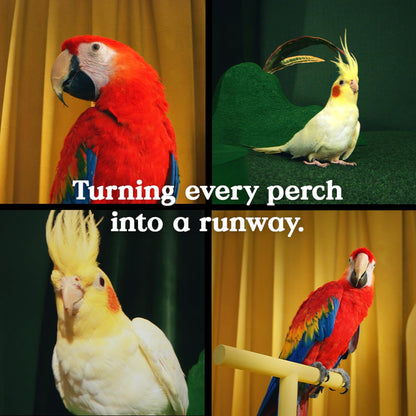 Kaytee bird greens for parakeets and parrots
