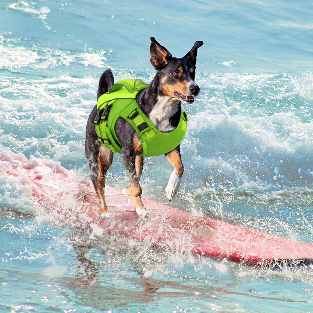 Queenmore Small Dog Life Jacket,Small Dog Life Vest for Swimming,Adjustable Reflective Dogs Swimming Vest,High Buoyancy Dogs Lifesaver,Pet Life Preserver(Green,S) - Image 9