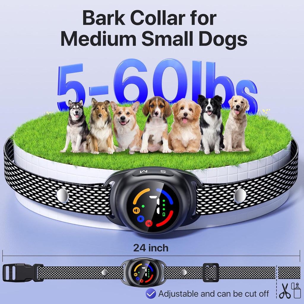 Close up of Ricivi dog collar buckle and strap