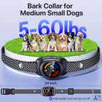 Close up of Ricivi dog collar buckle and strap