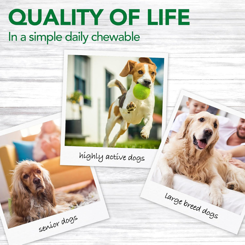 Arthritis and aches relief chewable tablets for dogs back view listing active dosages.