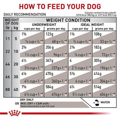 Royal Canin Veterinary Diet Canine Gastrointestinal LF Low Fat - 6.6lb - Image 9
