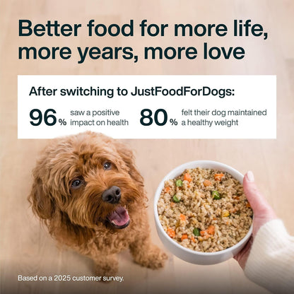 Veterinary nutritionist formulated shelf stable wet dog food variety pack for all life stages.