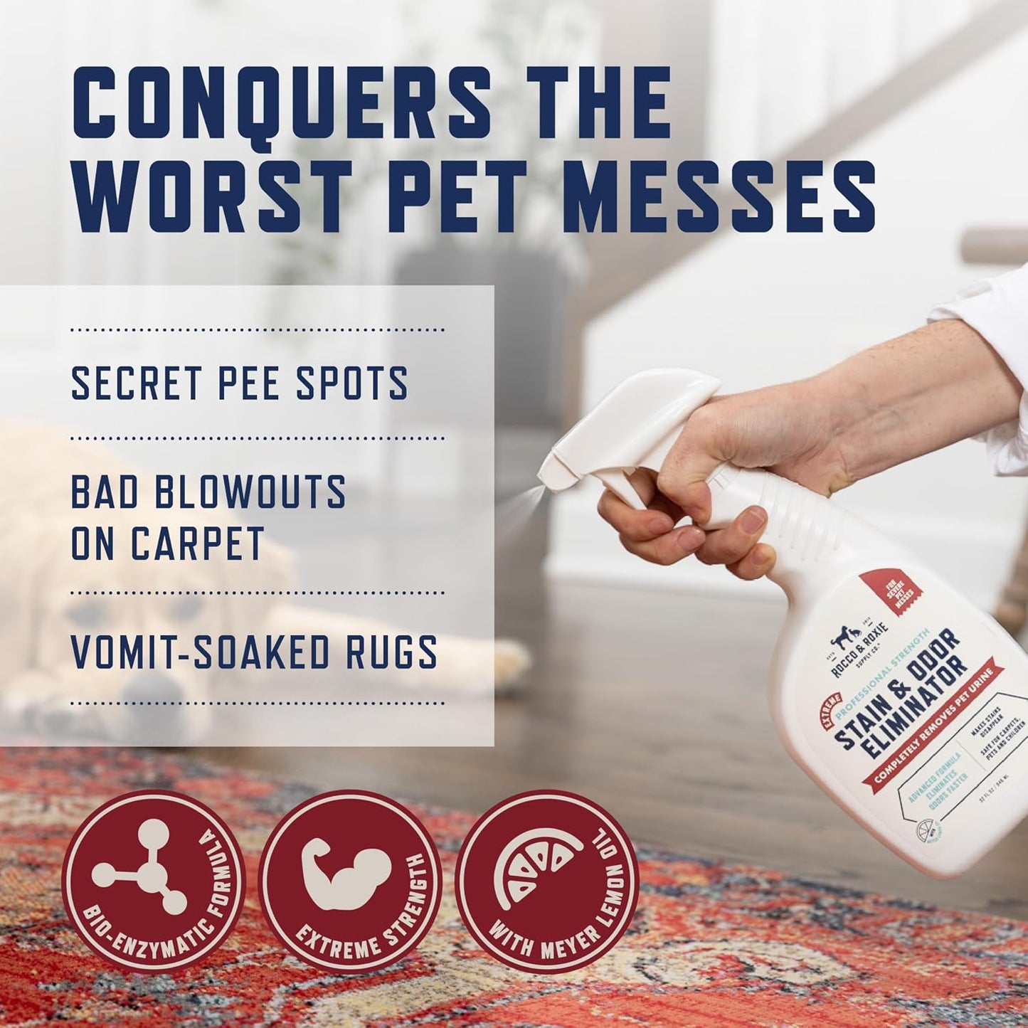 Bio enzymatic formula breaking down pet mess on home upholstery