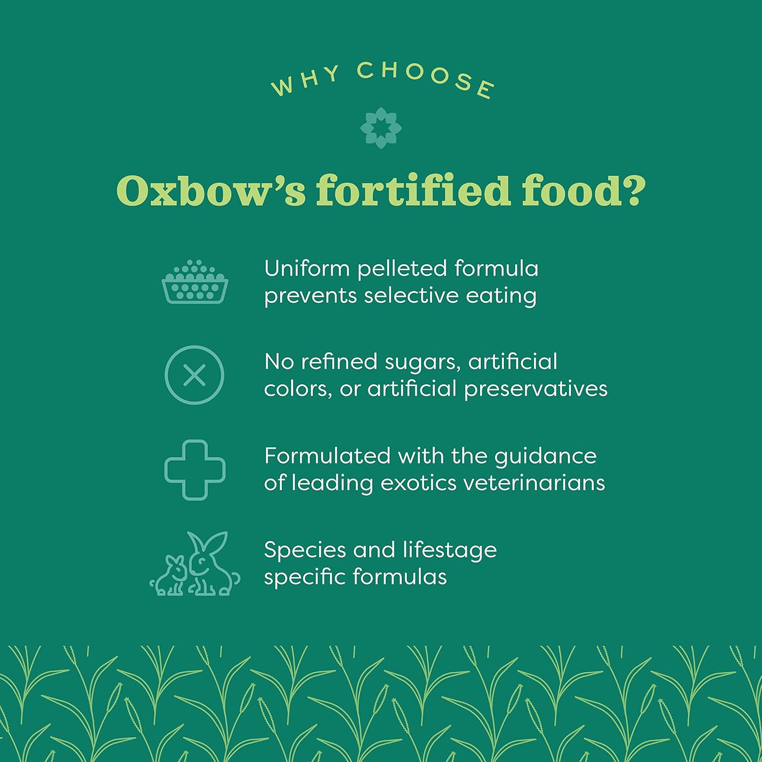 Back label of premium three pound bag small animal food showing feeding guidelines