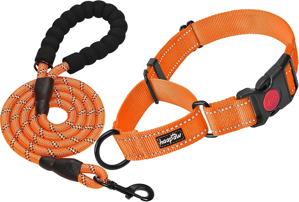 Haapaw adjustable martingale loop dog collar side view