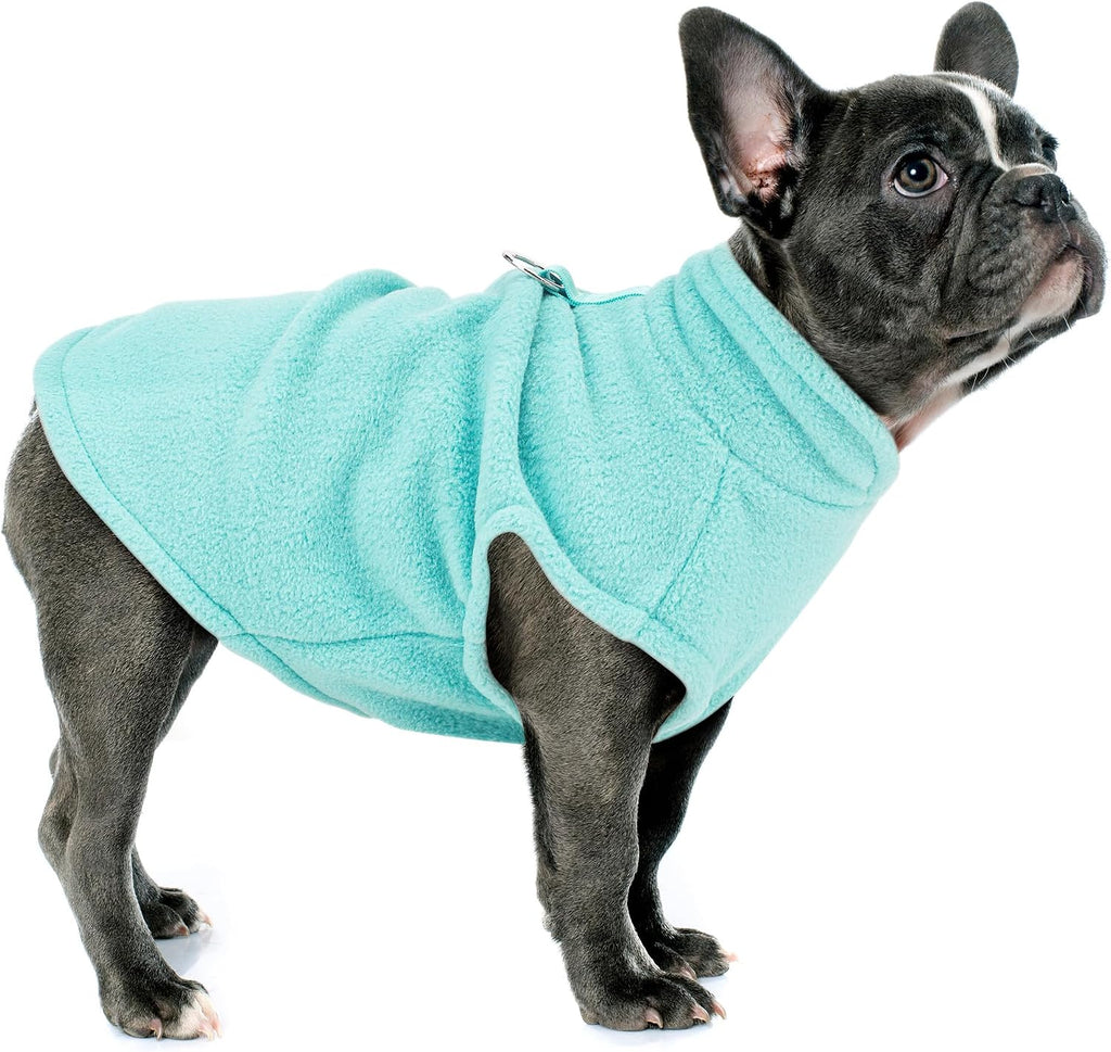 Turquoise polyester dog jacket with built-in leash ring back view pet clothing