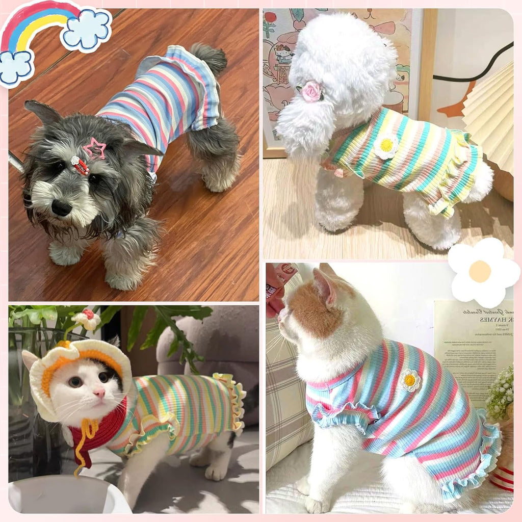 Small cat wearing comfortable cotton striped t-shirt vest