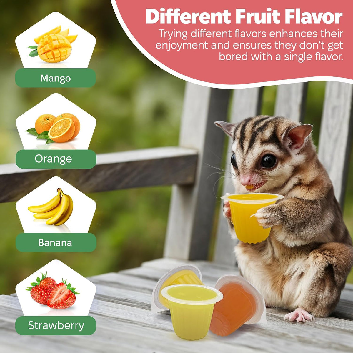 Sugar glider eating from an authentic Snout and Shell pet jelly pod inside a clean cage setup.