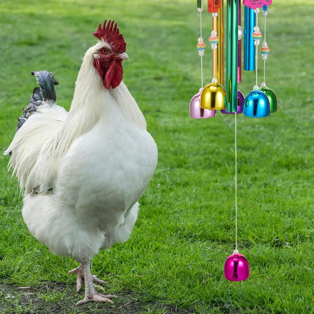 WinnerWhy pet bird toy outdoor coop setup
