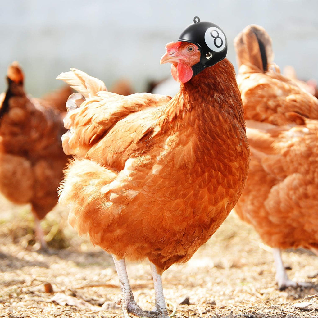 Skylety chicken costume accessory worn on small pet