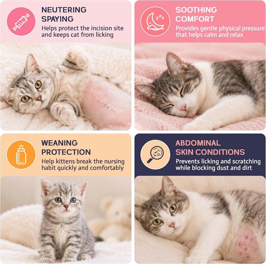 Cat wearing pink recovery suit walking comfortably