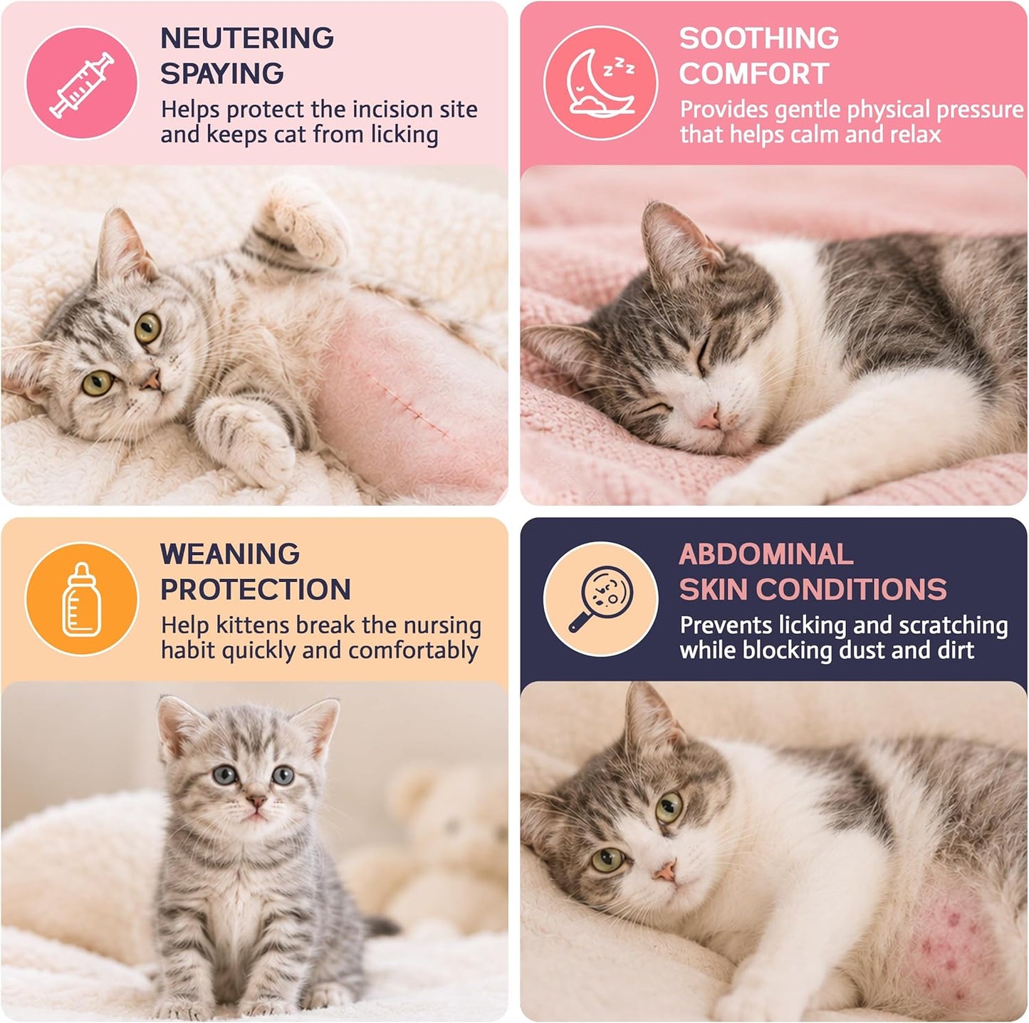 Cat wearing pink recovery suit walking comfortably