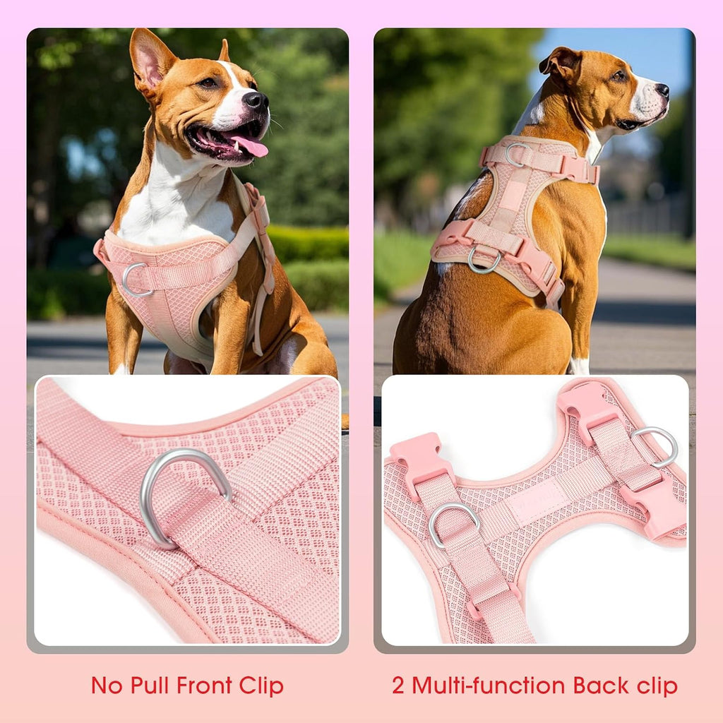 Wisedog dog harness showing 3 quick release buckles