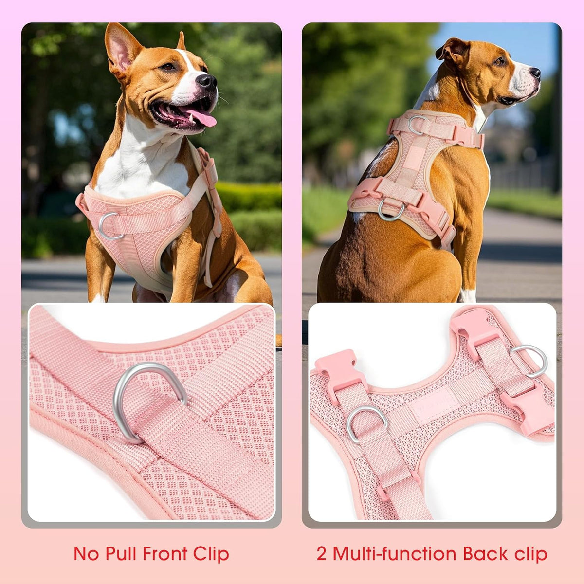 Wisedog dog harness showing 3 quick release buckles