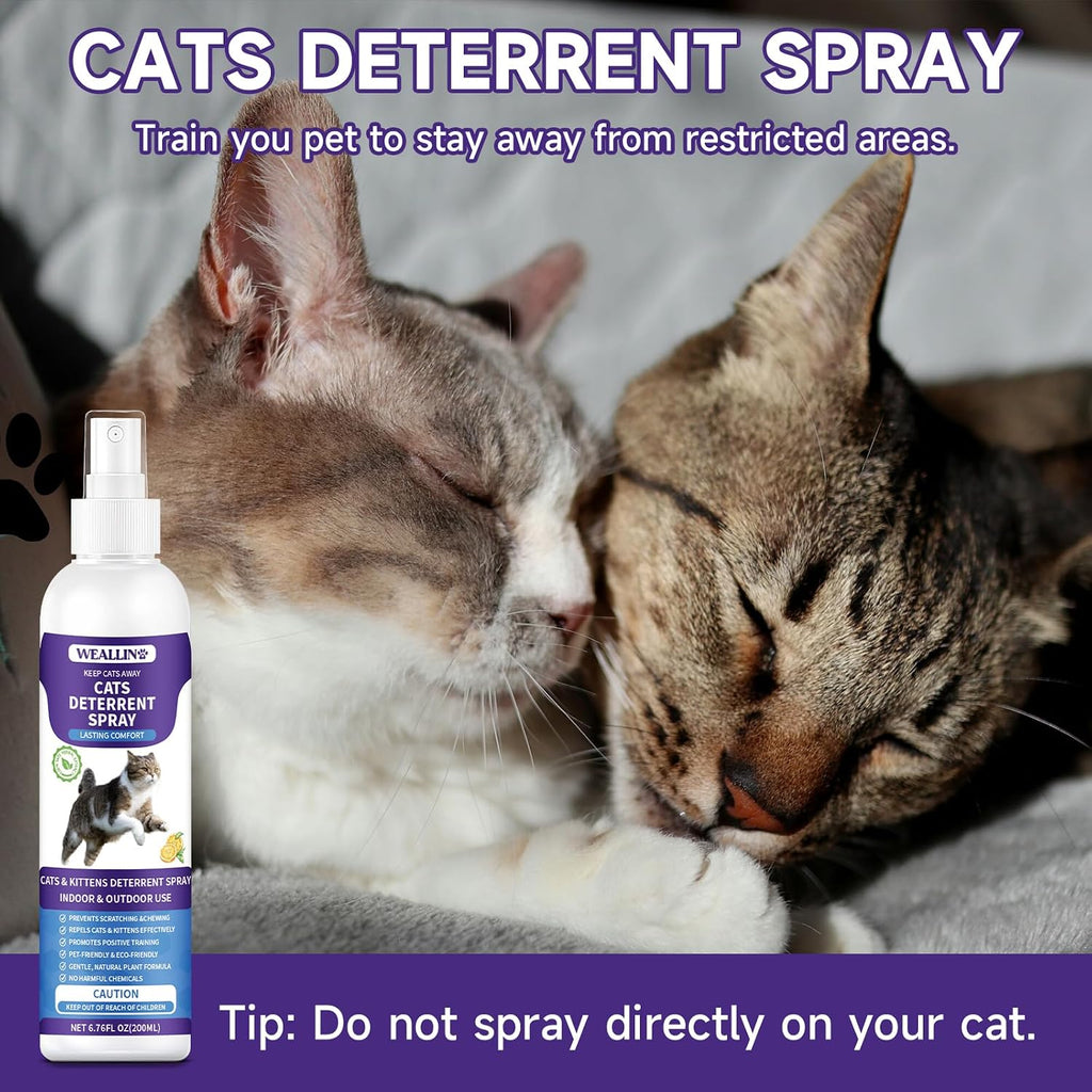 WEALLIN Cat Deterrent Spray, 6.76 FL Oz Natural Cat Repellent Spray Indoor & Outdoor, Anti-Scratch Training Aid for Furniture, Sofas, Rugs, Curtains, Plants - Non-Toxic, Alcohol-Free Formula - Image 7