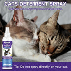 WEALLIN Cat Deterrent Spray, 6.76 FL Oz Natural Cat Repellent Spray Indoor & Outdoor, Anti-Scratch Training Aid for Furniture, Sofas, Rugs, Curtains, Plants - Non-Toxic, Alcohol-Free Formula - Image 7