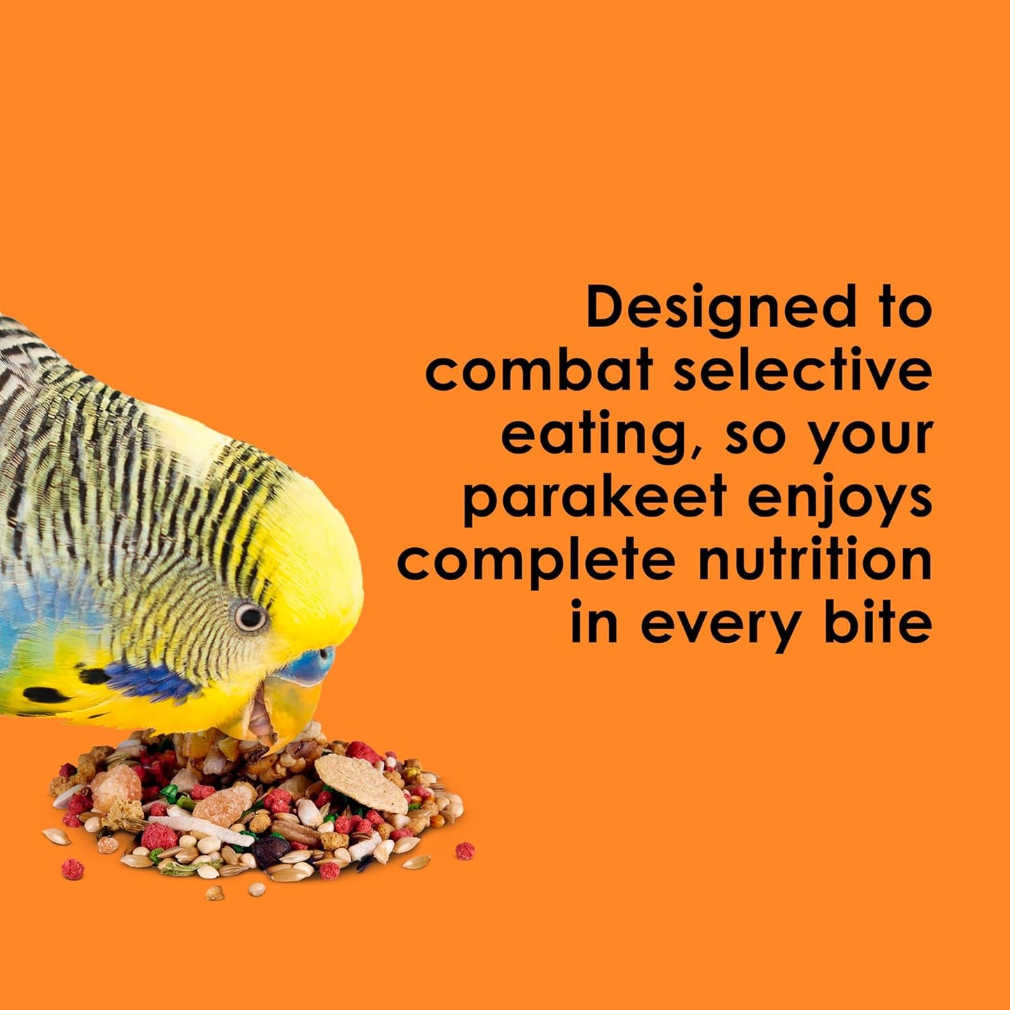 Kaytee Fiesta bird food seeds and fruit blend in a bowl