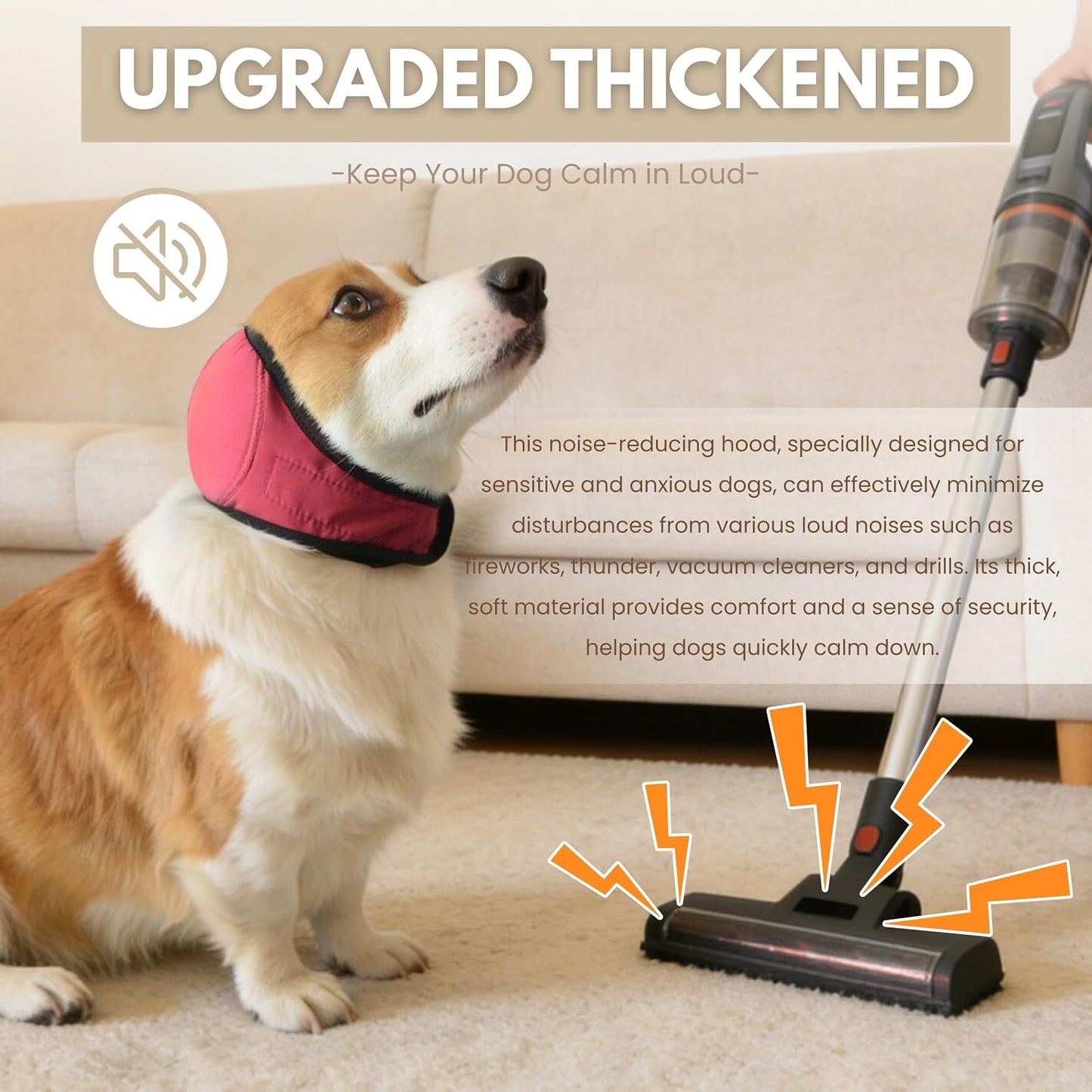 Waterproof dog ear wrap protecting a medium breed canine during a shower session.