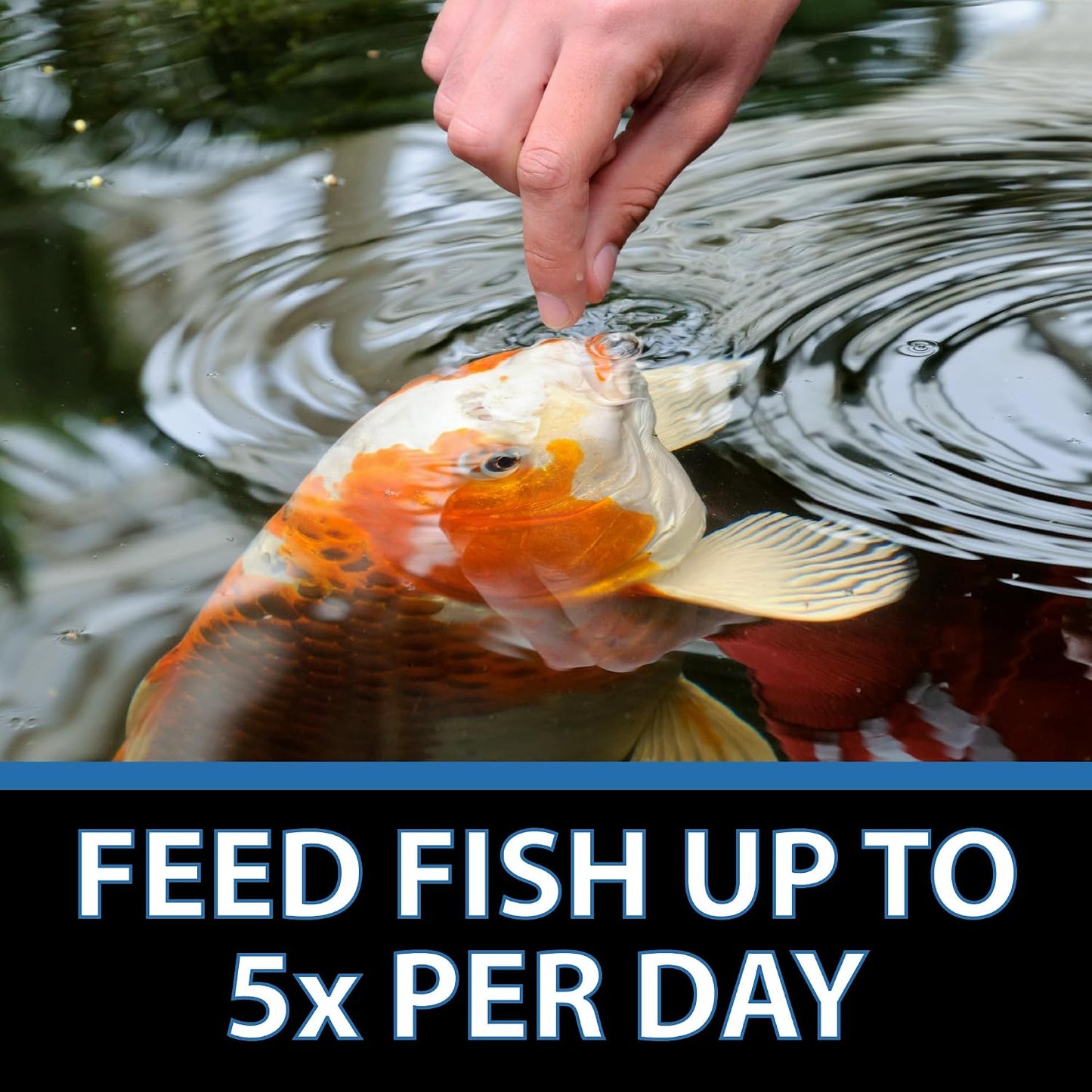 CrystalClear fish food packaging size reference
