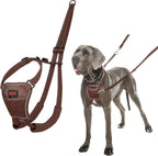 Halti No Pull Harness - Stop Your Dog Pulling on the Leash. Adjustable, Lightweight and Easy to Use. Reflective Dog Training Harness for Medium Dogs (Size M, Black) - Image 12