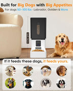 Large Breed Automatic Dog Feeder with 1080P HD Camera: 12L/50 Cups 20-Day Food Capacity for Busy Pet Owners - Anti-Clog 0.78inch Wide Outlet for Large Kibble - Image 9