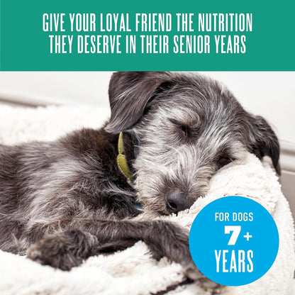 Tiki Dog Seniors Mousse Wet Dog Food, Chicken, Lamb & Pumpkin Recipe, 3.5 oz. Pouch (12 Count) - Image 9