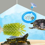 Reptile tank cleaning kit with manual shell scrubber and stationary brush