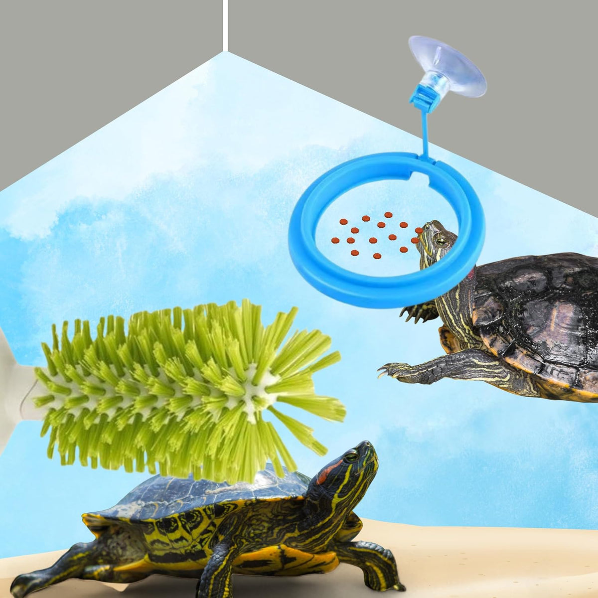 Reptile tank cleaning kit with manual shell scrubber and stationary brush