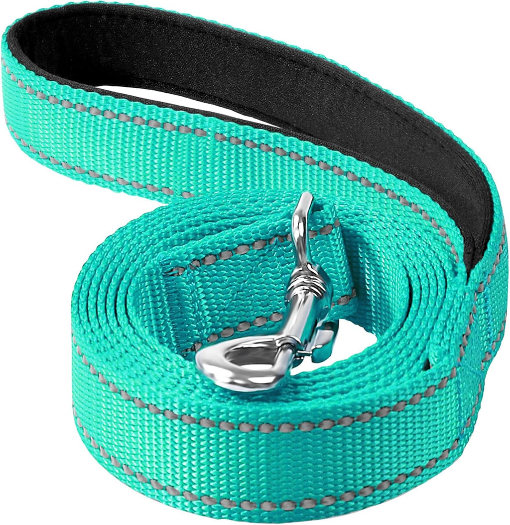 Erbine reflective dog leash turquoise color front view premium nylon pet lead