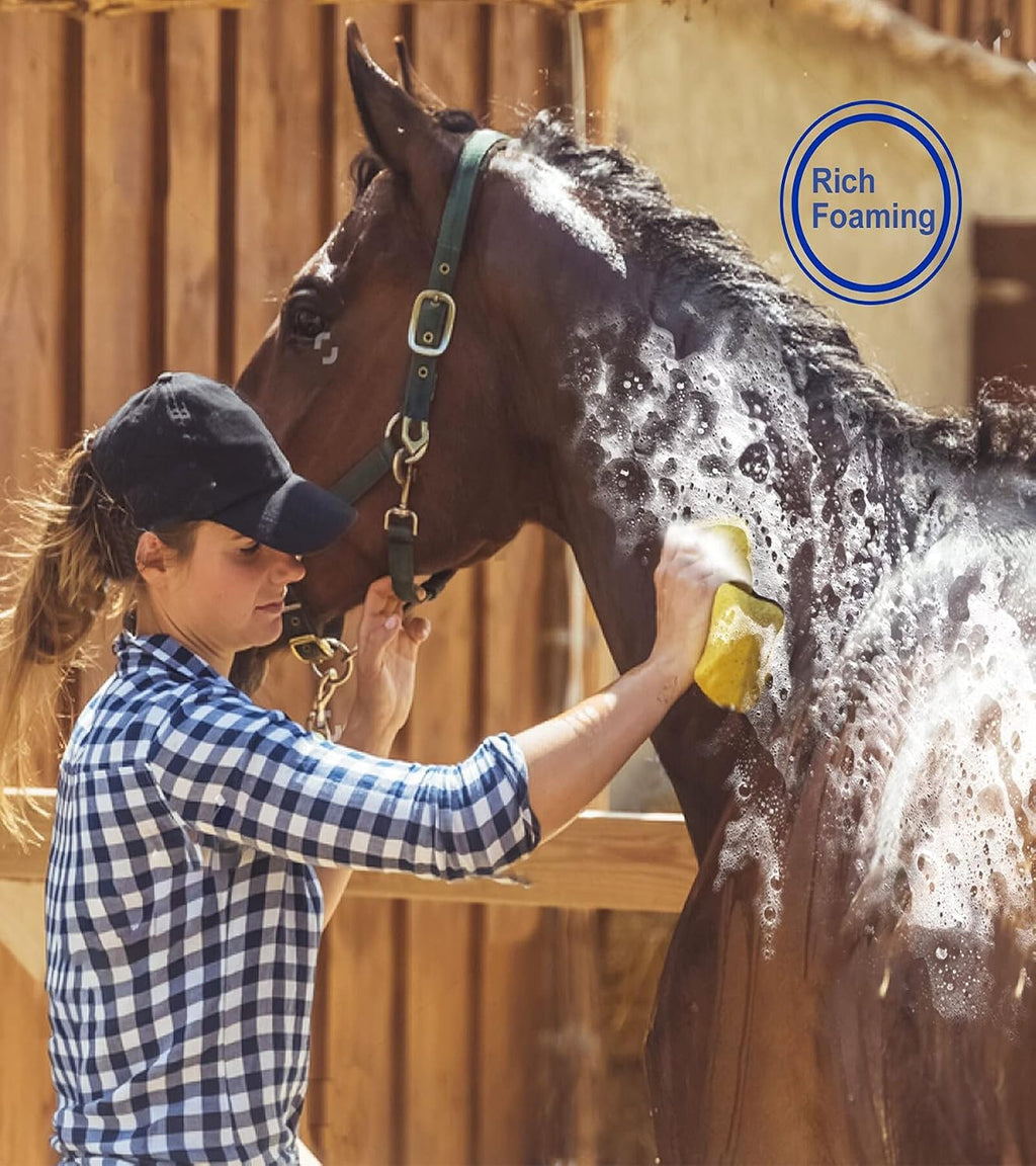 Ueemph 12-piece horse grooming kit inside the storage bag