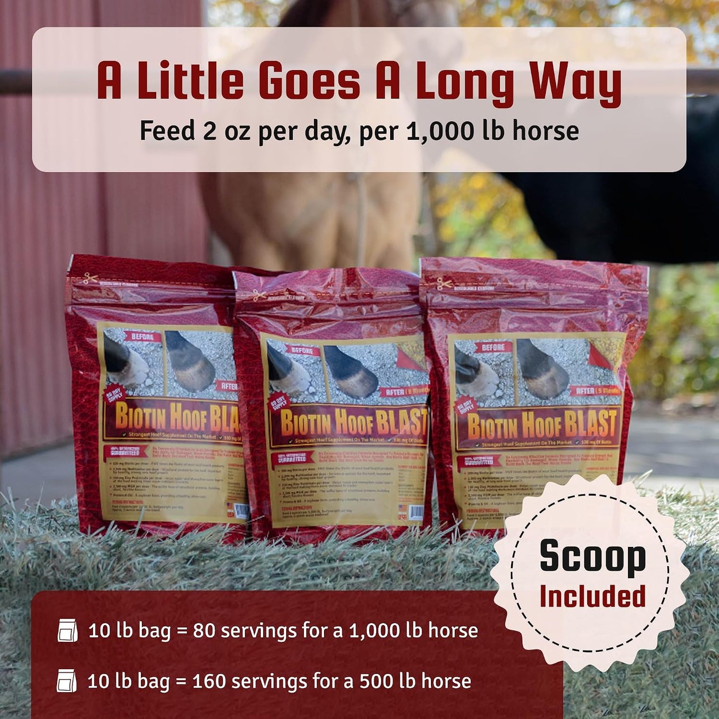 Horse Guard concentrated equine hoof strengthener package back view