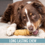 Wild Eats grass fed water buffalo cheek rolls dog dental treats