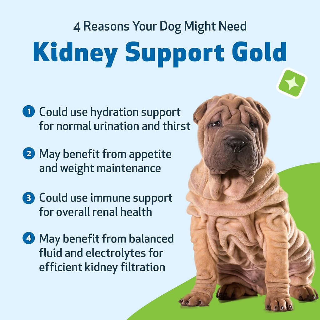 Pet Wellbeing Kidney Support Gold for Dogs - Supports Healthy Kidney Function, Fluid Balance, Energy Levels, Rehmannia, Dong Quai - Veterinarian-Formulated Herbal Supplement 2 oz (59 ml) - Image 9
