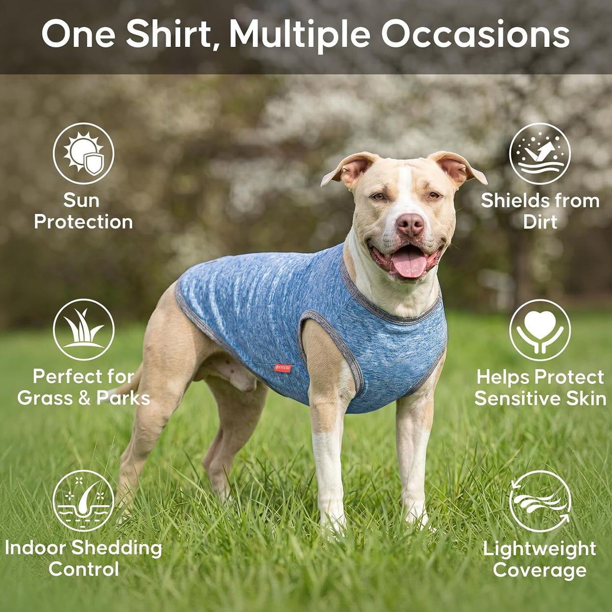 Close up of reflective bone tag on blue dog shirt