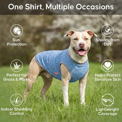Close up of reflective bone tag on blue dog shirt