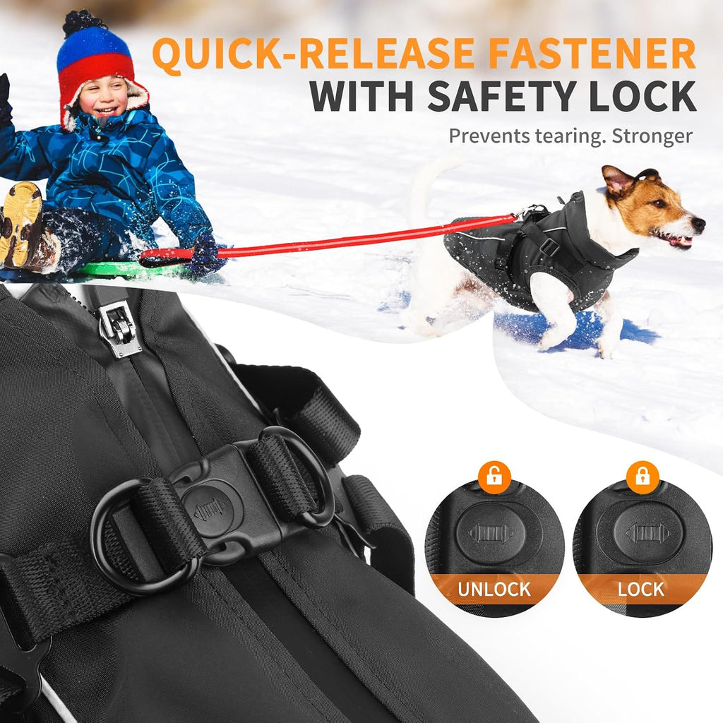 Fiveda dog winter jacket showing dual metal D ring leash attachment system