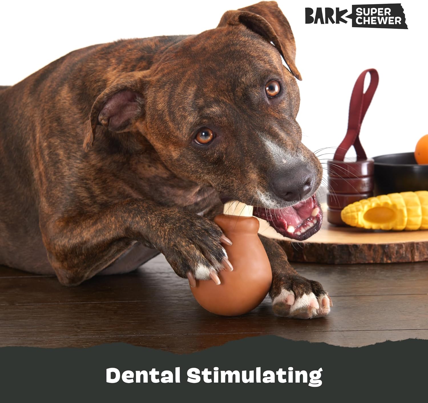 Texture detail of dental stimulating Barkbox dog toy