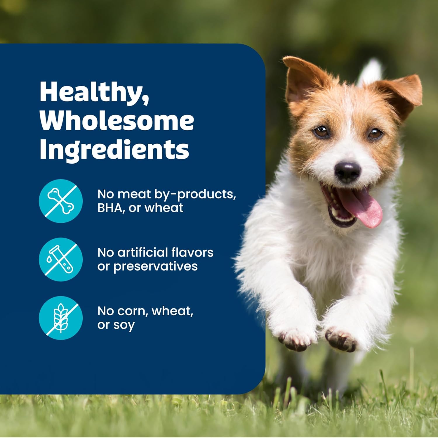 Blue Buffalo premium pet snack packaging detailing natural ingredients and vitamin fortifications.