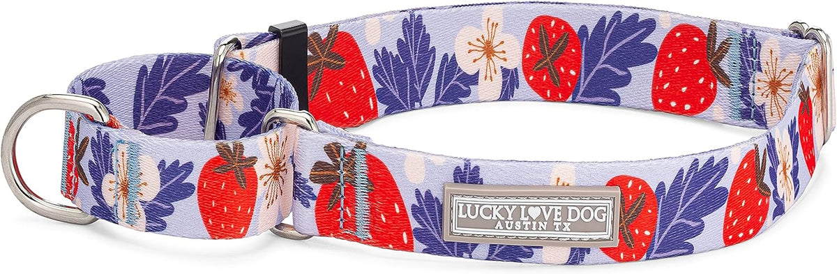Lucky Love Dog Martingale Dog Collar - Adjustable, No-Slip, Durable, & Soft Webbing Collar for Male and Female Dogs Ideal for Training & Walking - Blackbird, Medium - Image 12
