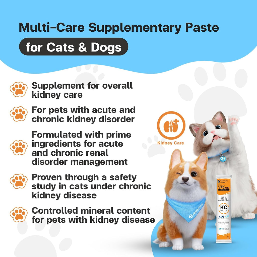 Dog and cat kidney care paste by VFCARE for chronic kidney disease