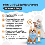 Dog and cat kidney care paste by VFCARE for chronic kidney disease