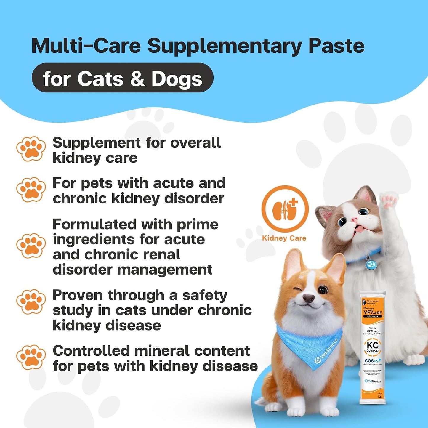 Dog and cat kidney care paste by VFCARE for chronic kidney disease
