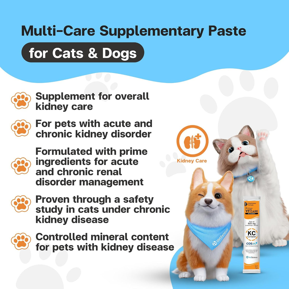 Dog and cat kidney care paste by VFCARE for chronic kidney disease