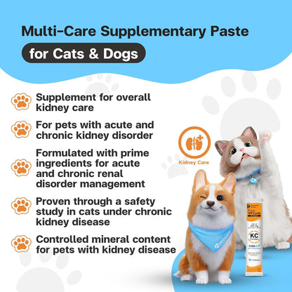 Dog and cat kidney care paste by VFCARE for chronic kidney disease