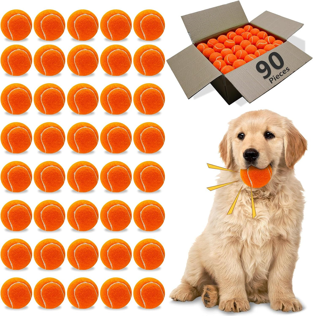 Magicorange Dog Tennis Balls, 20 Pack 2.5 inch Floatable Squeaky Tennis Balls for Fetch Exercise, Natural Rubber Squeaky Dog Balls Training Safe (Multicolor) - Image 9