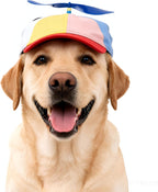 Close up of colorful helicopter propeller on Ifnov pet hat