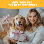 Dog walking safely with Dapaw paw stickers