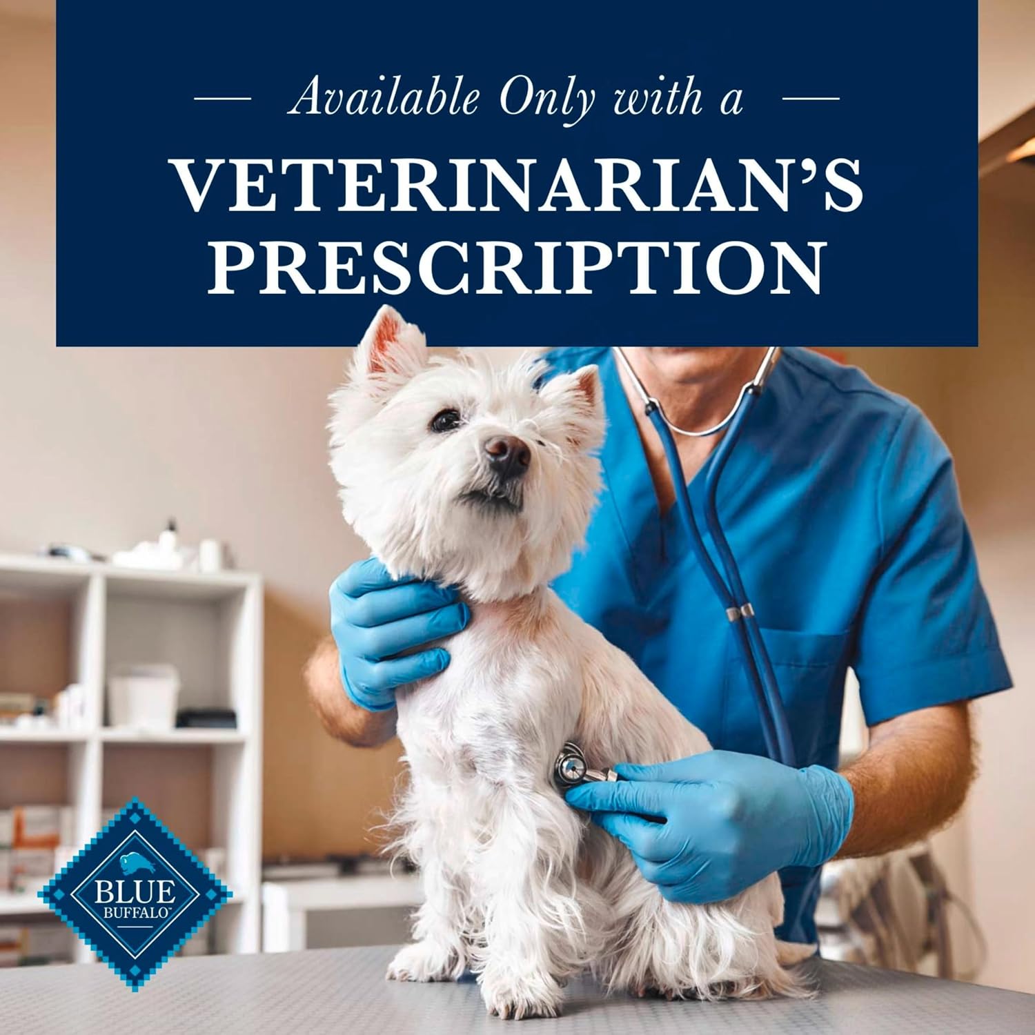 Imported veterinary formula dry dog food for canine kidney health management
